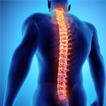 Orthopedic Spine, Back, & Neck Specialty