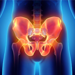 Orthopedic Hip Specialty