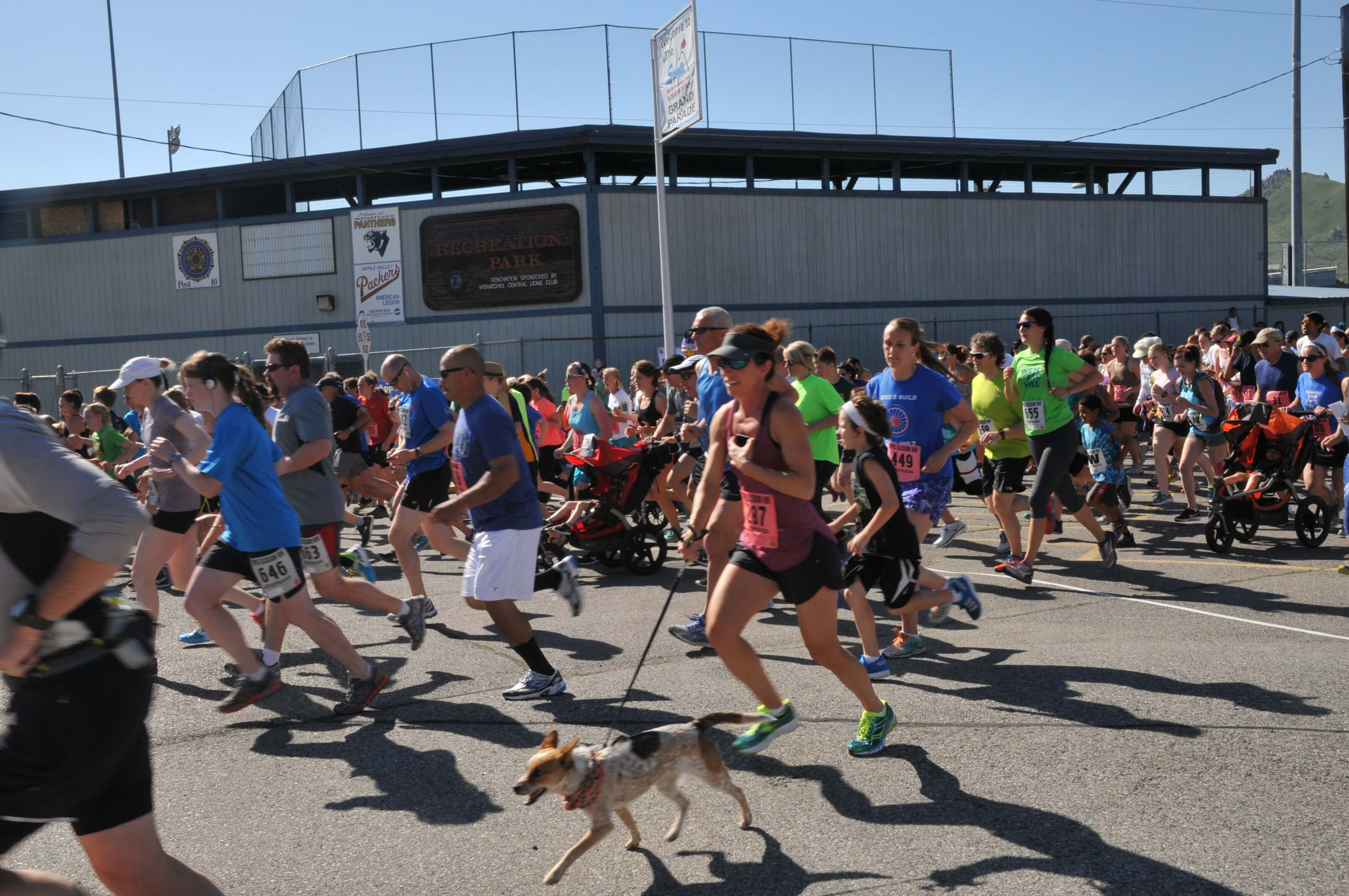 Apple blossom race