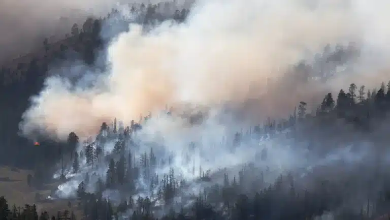 Respira tranquilo esta temporada de incendios
